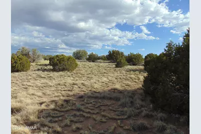 38 Gila Drive, Concho, AZ 85924 - Photo 11