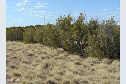 38 Gila Drive, Concho, AZ 85924 - Photo 3