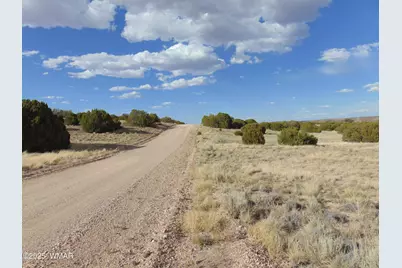 38 Gila Drive, Concho, AZ 85924 - Photo 19