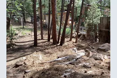 539 W Cooley Lane, Lakeside, AZ 85929 - Photo 7