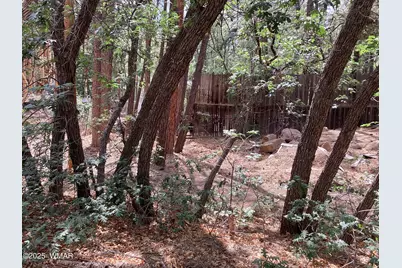 539 W Cooley Lane, Lakeside, AZ 85929 - Photo 3