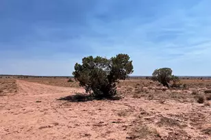 8191 E Concho Hwy Parcel E Unit Parcel E, Snowflake, AZ 85937 - Photo 1