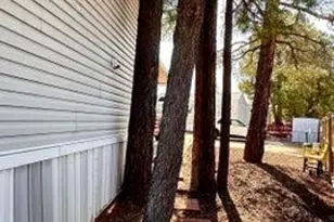 270 N Clark Rd, Show Low, AZ 85901 - Photo 31