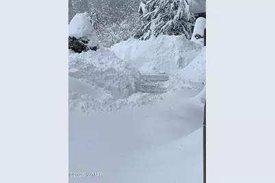 4520 Tatanka Loop, Unit A4 #A4, Show Low, AZ 85901 - Photo 45