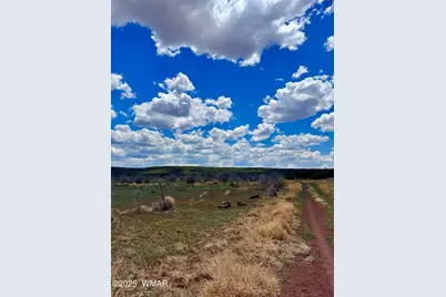 13 County Rd 8122, Concho, AZ 85924 - Photo 1