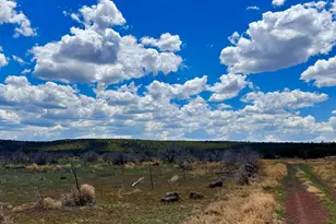 13 County Rd 8122, Concho, AZ 85924 - Photo 1