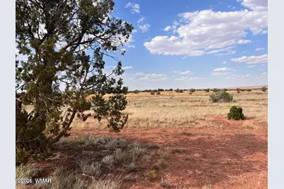 5184 Coyote Trail, Heber, AZ 85928 - Photo 29