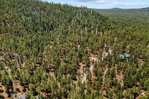 30 N1068, Greer, AZ 85927 - Photo 45