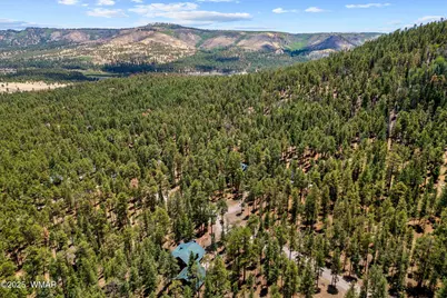 30 N1068, Greer, AZ 85927 - Photo 41