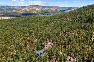 30 N1068, Greer, AZ 85927 - Photo 41