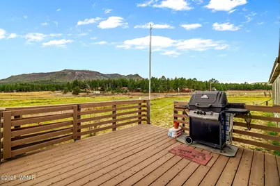 25350 Highway 191, Alpine, AZ 85920 - Photo 7