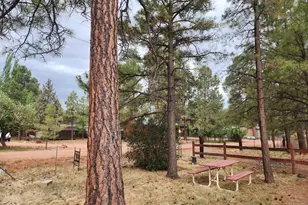 2052 Grey Squirrel Trail, Overgaard, AZ 85933 - Photo 17