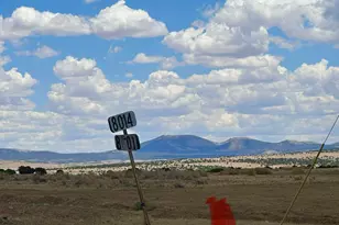 52 County Rd 8010, Concho, AZ 85924 - Photo 29