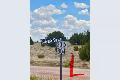 52 County Road 8010, Concho, AZ 85924 - Photo 31