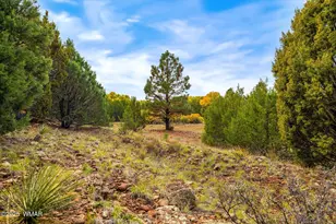 5 N3479, Vernon, AZ 85940 - Photo 17