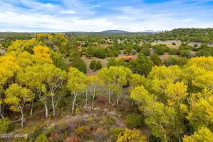 9 N3479, Vernon, AZ 85940 - Photo 15