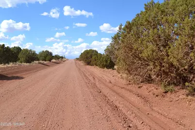 4161 Colt Road, Snowflake, AZ 85937 - Photo 9