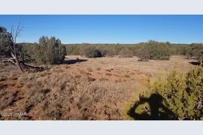 Lot 35 Cr 8281, Concho, AZ 85924 - Photo 5
