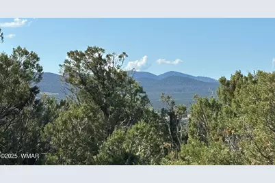 60 County Road 8140, Vernon, AZ 85940 - Photo 17