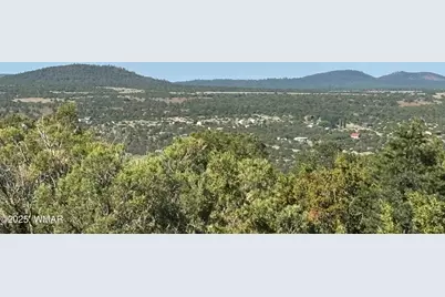 60 County Road 8140, Vernon, AZ 85940 - Photo 13