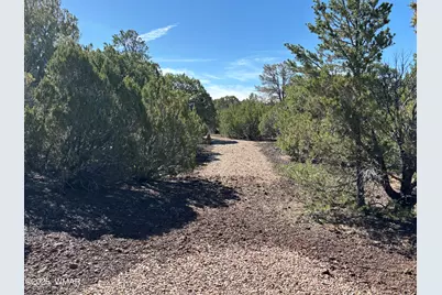 60 County Road 8140, Vernon, AZ 85940 - Photo 5