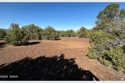 60 County Road 8140, Vernon, AZ 85940 - Photo 25