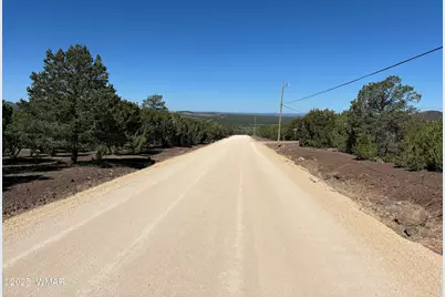 60 County Road 8140, Vernon, AZ 85940 - Photo 9