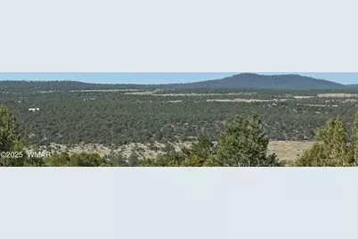 60 County Road 8140, Vernon, AZ 85940 - Photo 15