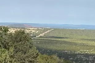 60 County Road 8140, Vernon, AZ 85940 - Photo 1