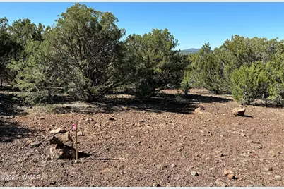 60 County Road 8140, Vernon, AZ 85940 - Photo 11