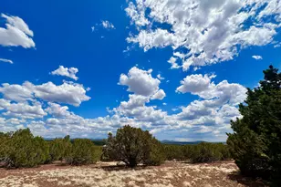 Tbd County Rd N8157, Concho, AZ 85924 - Photo 1