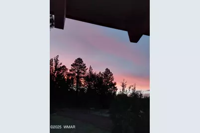 5533 Deer Run, Pinedale, AZ 85934 - Photo 37