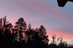 5533 Deer Run, Pinedale, AZ 85934 - Photo 37