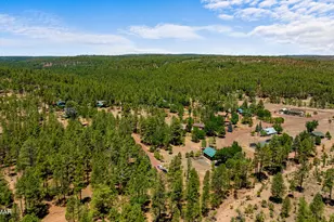 5533 Deer Run, Pinedale, AZ 85934 - Photo 5