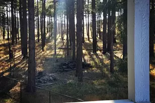 5533 Deer Run, Pinedale, AZ 85934 - Photo 39