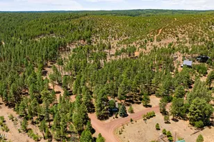 5533 Deer Run, Pinedale, AZ 85934 - Photo 3