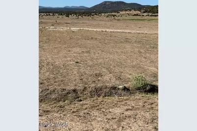 54 County Road 8001, Concho, AZ 85924 - Photo 7