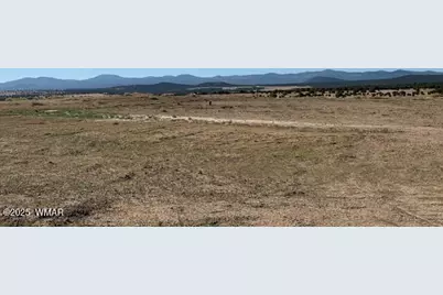54 County Road 8001, Concho, AZ 85924 - Photo 9