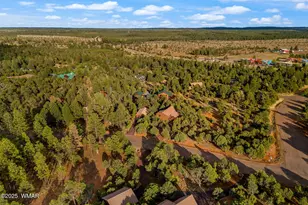 2781 Air Park Dr, Overgaard, AZ 85933 - Photo 37