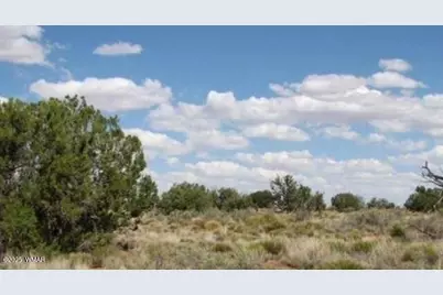 Tbd Chevelon Canyon Ranch Lot 363, Heber, AZ 85928 - Photo 1