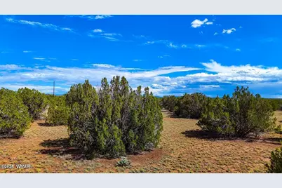 8730 Coronado Drive, Show Low, AZ 85901 - Photo 1