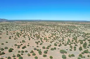 12 County Rd N8543, Concho, AZ 85924 - Photo 71