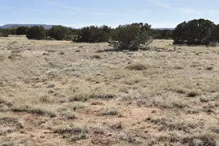 12 County Rd N8543, Concho, AZ 85924 - Photo 63