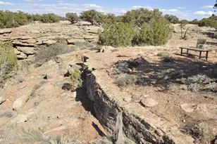 12 County Rd N8543, Concho, AZ 85924 - Photo 59