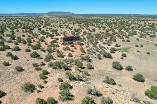 12 County Rd N8543, Concho, AZ 85924 - Photo 55