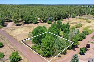 2412 S Joyce Ln, Pinetop, AZ 85935 - Photo 29