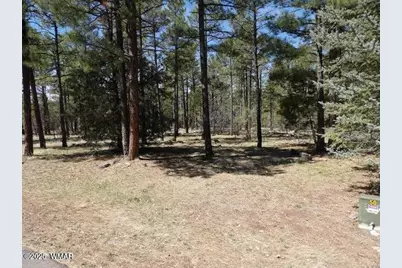 922 Pine Creek Drive, Lakeside, AZ 85929 - Photo 1