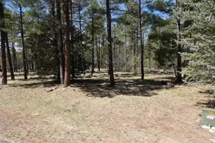 922 Pine Creek Dr, Lakeside, AZ 85929 - Photo 1