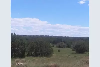 Lot 99 Woodland Valley Ranch, Saint Johns, AZ 85936 - Photo 3