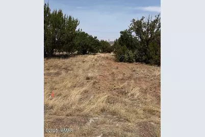 8700 Silver Creek Drive, Show Low, AZ 85901 - Photo 5